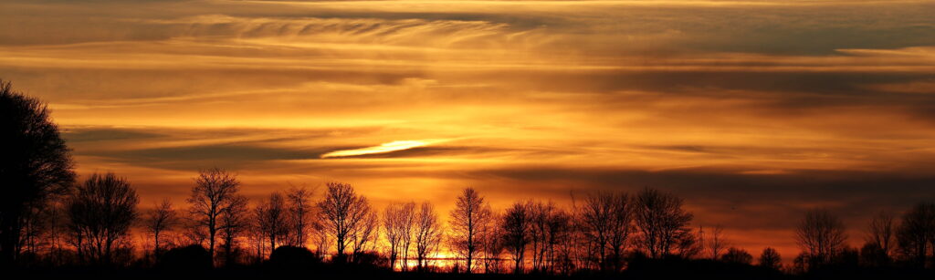 Sunset-Tress-Clouds